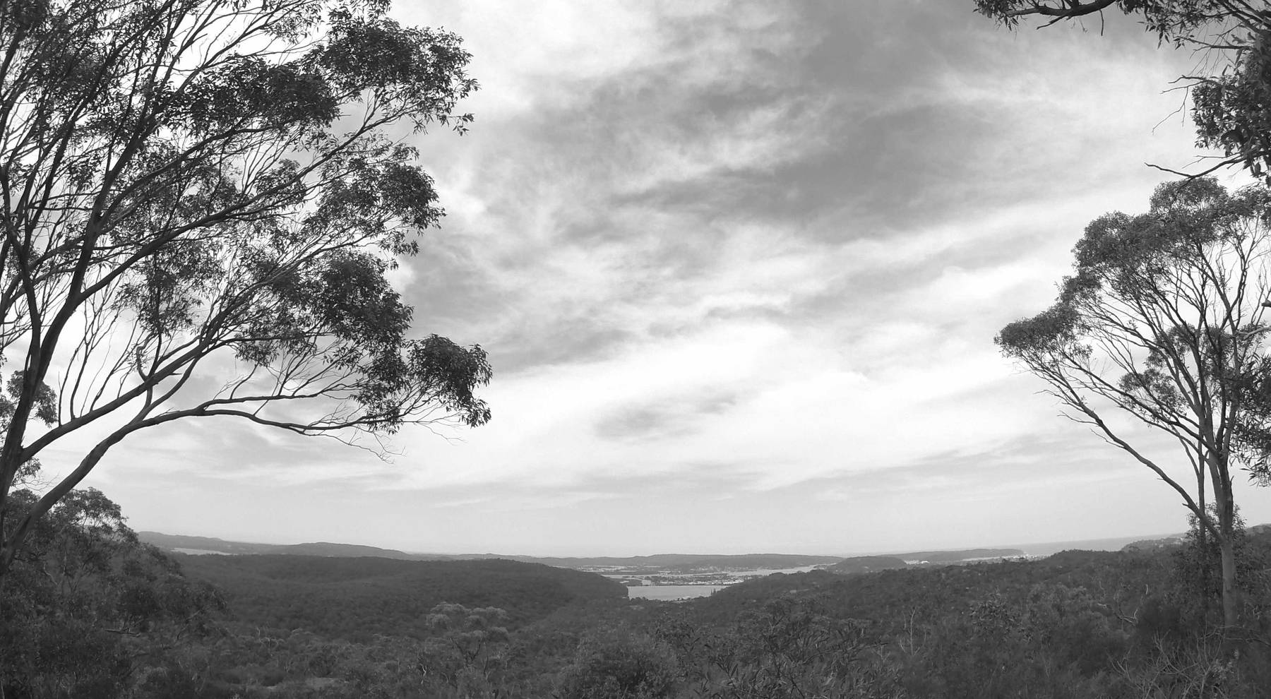 Bushland ridges from Staples Lookout down to Brisbane Water